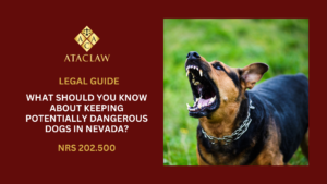 NRS 202.500 | What Should You Know About Keeping Potentially Dangerous Dogs in Nevada?